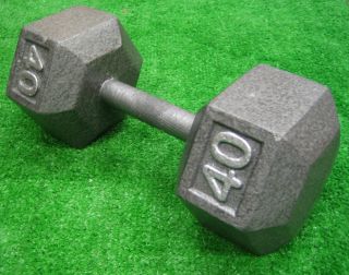40 lbs Pounds Hex Dumbell Dumbbell Solid Cast Iron Steel Grey 