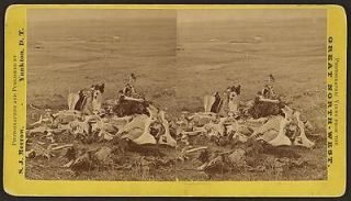 General Custer,last stand,Little Bighorn Battlefield,Indians,bones,MT 