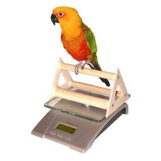 Redmon Deluxe Digital Small Animal and Aviary Scale with Perch 6701