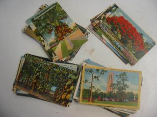Collectibles  Postcards  US States, Cities & Towns  Florida