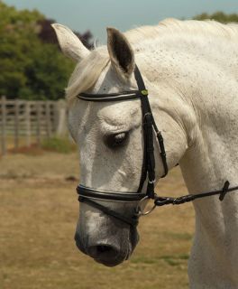 Rhinegold German Leather Horses Bridle With Silver Piping Trim 