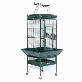 wrought iron parrot cage in Cages