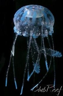 Jellyfish Aquarium Ornament Eshopps Large 4 Blue