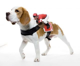 Dog Rider Doggie Costume Jockey One Size *New*