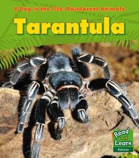 live tarantula in Collectibles
