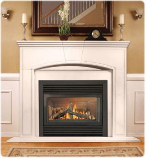 gas fireplace direct vent in Fireplaces