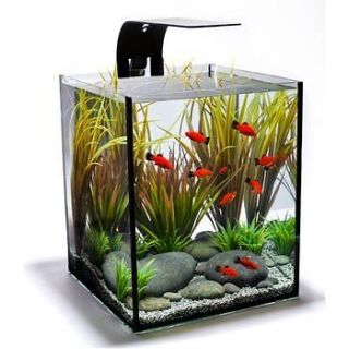 Ecoxotic EcoPico Desktop Fish Aquarium