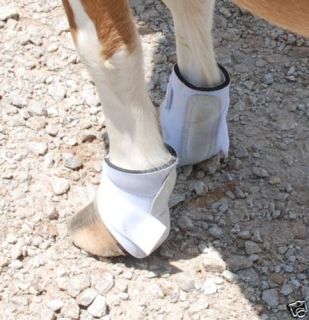 DD55 mini minature horse neoprene splint boots White