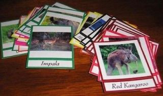 WORLD ANIMALS CARDS Continents Preschool Montessori Materials 