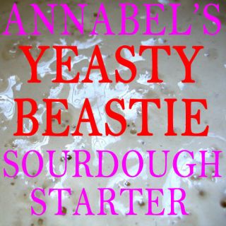 ANNABELS YEASTY BEASTIE SOURDOUGH STARTER   BREAD 50gm