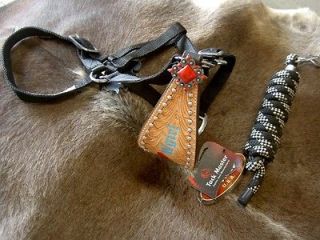HALTER BRONC NYLON NOSE BAND TACK CARVED TURQUOISE COWGIRL HEART RED 