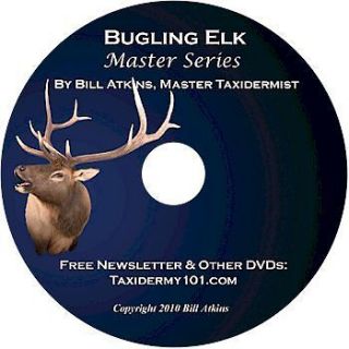 Taxidermy Video on DVD   Elk Taxidermy Training on DVD for Beginners 