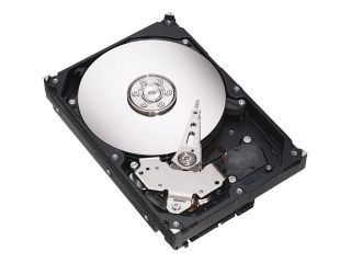 160 gb hard drive in Internal Hard Disk Drives