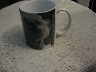 Chocolate Lab Coffee / Tea Mug   Picture on one side and Breed History 