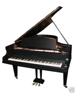 4597 Beautiful Antique Black Bechstein Grand Piano