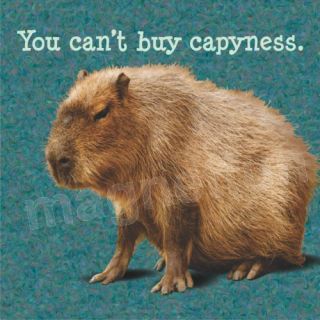 Magnet Picture Capybara Giant Rodent You Cant Buy Capiness