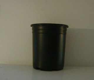 GALLON PLASTIC NURSERY POTS ( 10 new Pots )