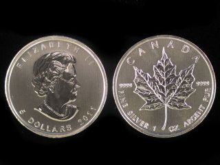 2011 Silver Canadian Maple Leaf .9999 Pure 1 oz Coin Air tight Case 