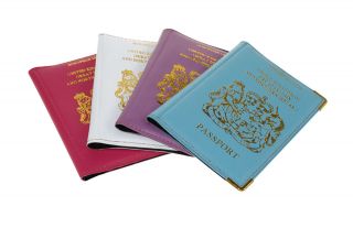 PASSPORT LIGHT COVERS (CLEAR POCKET HOLDING SYSTEM)