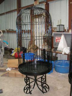 wrought iron bird cages in Cages