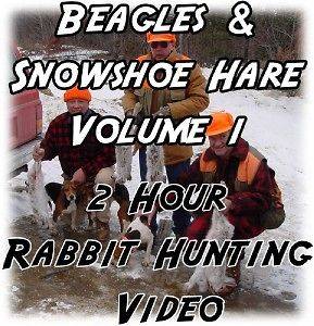 RABBIT HUNTING Video DVD ~ BEAGLES/Snowsh​oe Hare Vol. 1