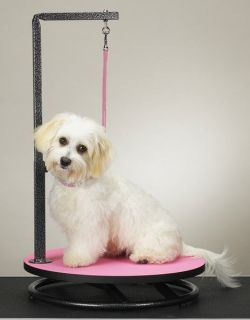 Master Equipment ROUND ROTATING SMALL Dog Cat GROOMING TABLE ARM,CLAMP 