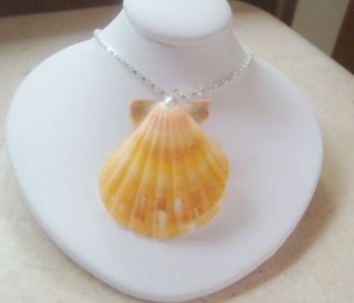   Color Sea Shell Necklace   Its the color of the sunrise & sunset