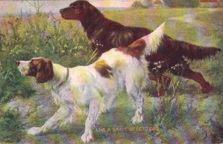 Art Postcard Dogs Brace of Setters