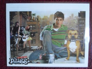 2005 Print Ad PLUGG Jeans Fashion PIT BULL American Staffordshire 