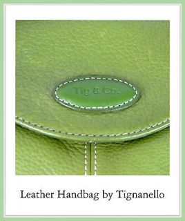 tignanello purse green in Handbags & Purses