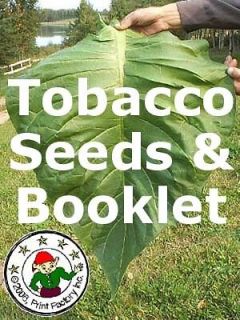   your own smoking tobacco at home, Tobacco plant seeds, 1500, Legal