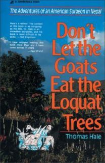 loquat tree in Trees