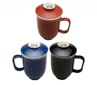 The TeaSpot 16oz Steeping Mug w Tea Infuser & Lid 3 pc