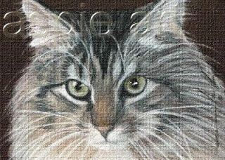 ACEO print limited edition maine coon cat No. 5 of 10 by Anna.Hoff
