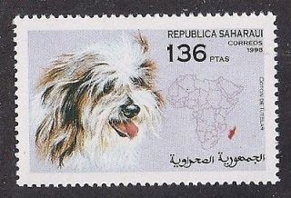 Dog Art Head Study Postage Stamp COTON DE TULEAR / HAVANESE Sp Sahara 