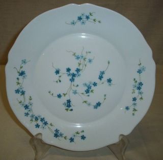   France Veronica White with Blue Flowers 10 1/8 Dinner Plate 10 Avail
