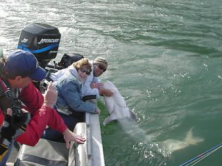 Guided Columbia River Sturgeon Fishing Trip For 2