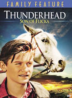 Thunderhead Son of Flicka DVD, 2005