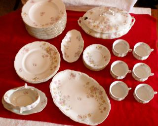   LEWIS STRAUS & SONS CARLSBAD AUSTRIA Partial China SET 29 PIECE LOT