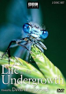 Life in the Undergrowth DVD, 2006, 2 Disc Set