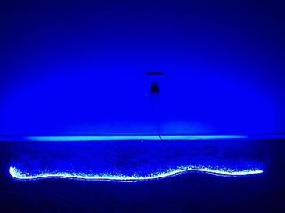 Aquarium Reef Coral LED Strip 445 nm BLUE Actinic Light 12 1 ft 18 