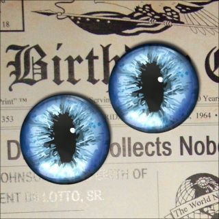 Blue Cat Dragon Eye 1 Inch Glass Taxidermy Craft Doll Fantasy Eyeballs 