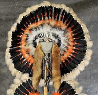 Native American Thunderbird War Bonnet Headdress