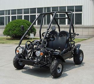 NEW 110cc Youth Go Kart Dune Buggy Semi Automatic 3 Speed+Reverse FREE 