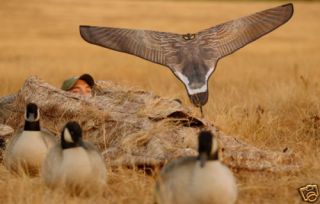 Avery Greenhead Gear Super Power Flag Canada Goose Hunting Duck Decoys