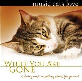 MUSIC CATS LOVE   WHILE YOU ARE GONE   CD FOR CATS NEW