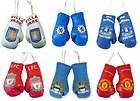 Official Merchandise Car Accessories Mini Boxing Gloves Football Gifts