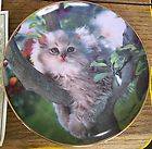 Out On A Limb Kitty Cat Decorative Plate Franklin Mint Fine 