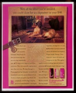 1998 English Setter photo Iams Eukanuba dog food print ad