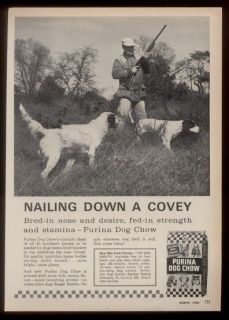 1963 English Setter & Pointer photo Purina Dog Chow vintage print ad